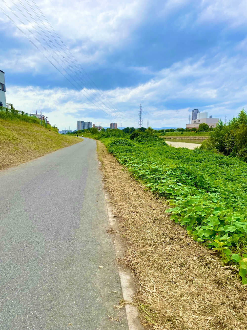 銭湯からの大和川、長居、てんしばめぐりの写真4