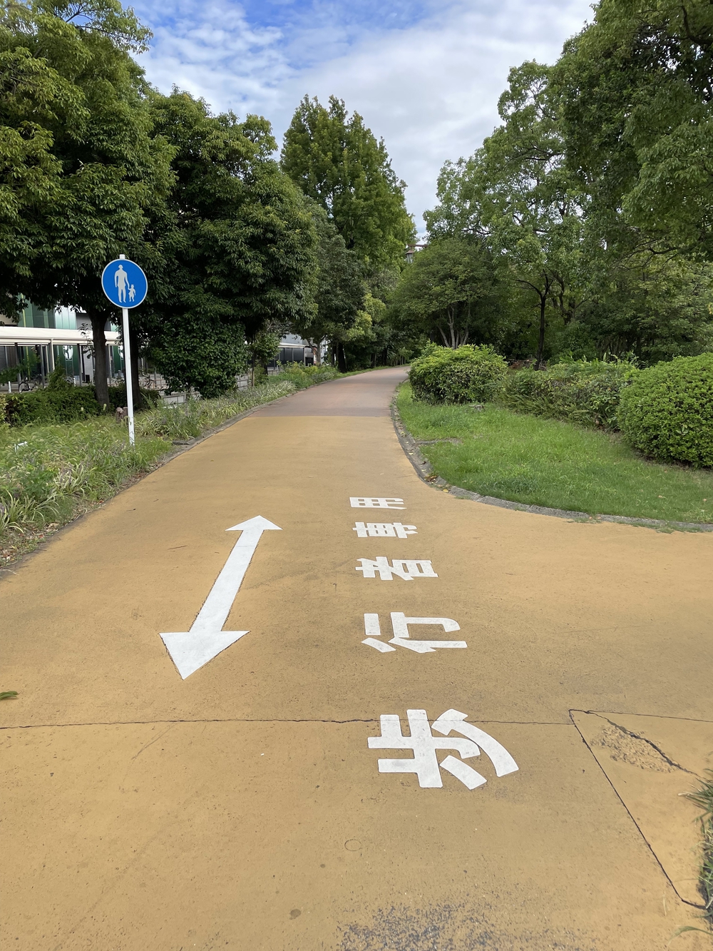 大野川緑陰道路コースの写真3