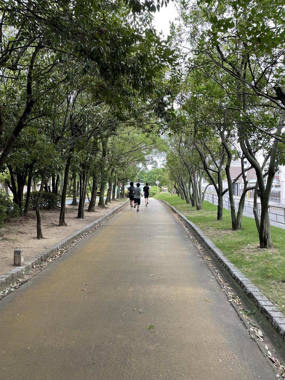 大野川緑陰道路コースの写真5
