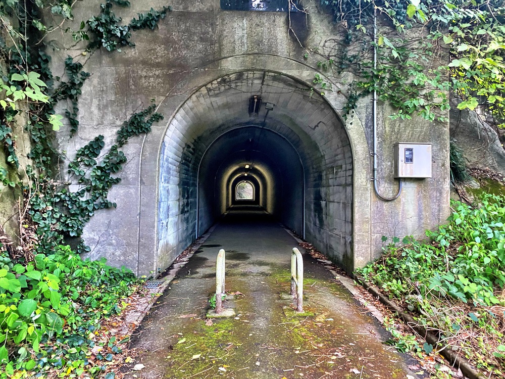 外房勝浦、海岸線周回10km　ゴール後は勝浦タンタンメン！の写真3