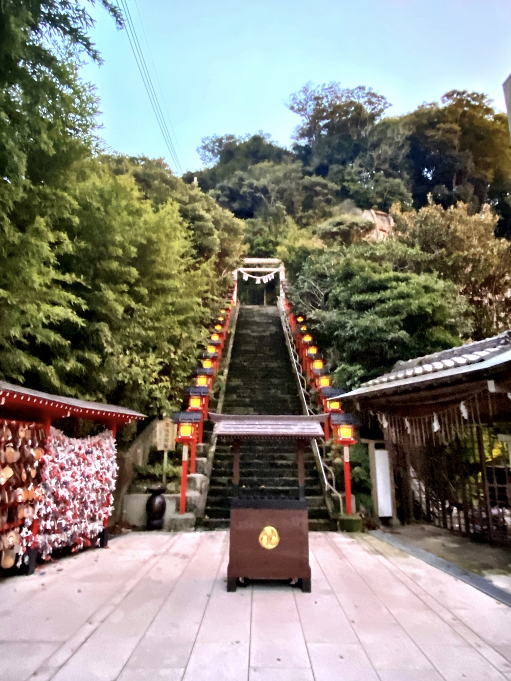 外房勝浦、海岸線周回10km　ゴール後は勝浦タンタンメン！の写真6
