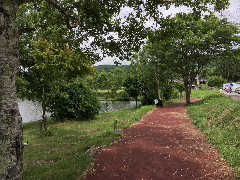 夏でもさわやかな白樺湖の写真3