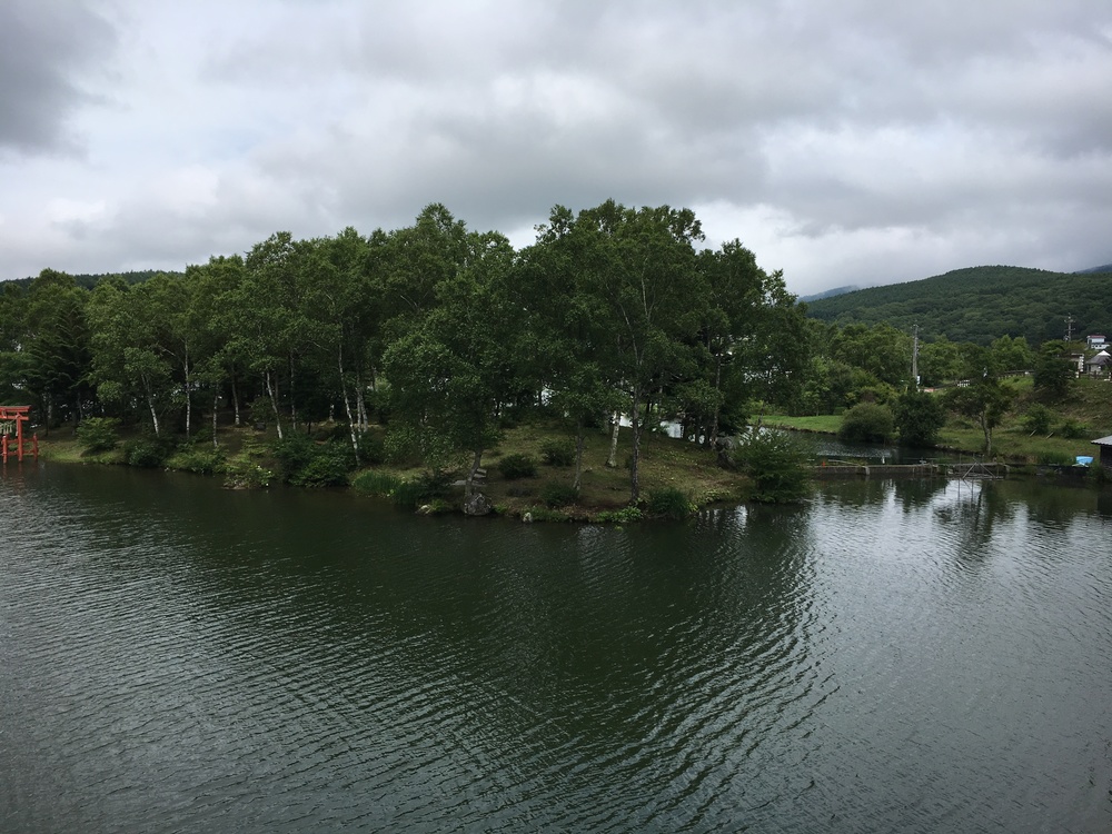 夏でもさわやかな白樺湖の写真4