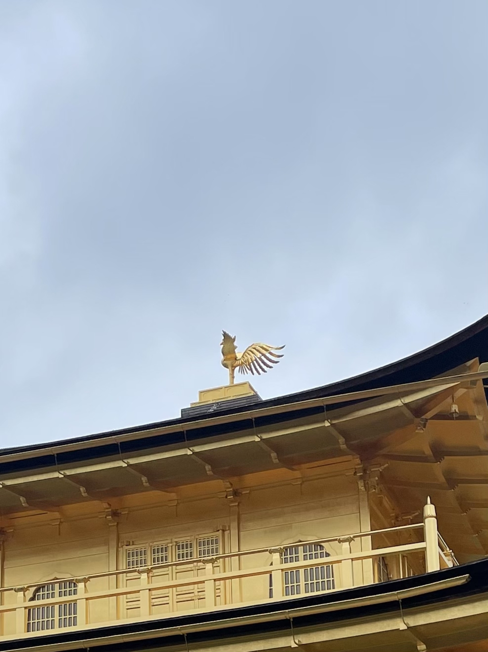 歌川広重と共にRUN 金閣寺の写真3