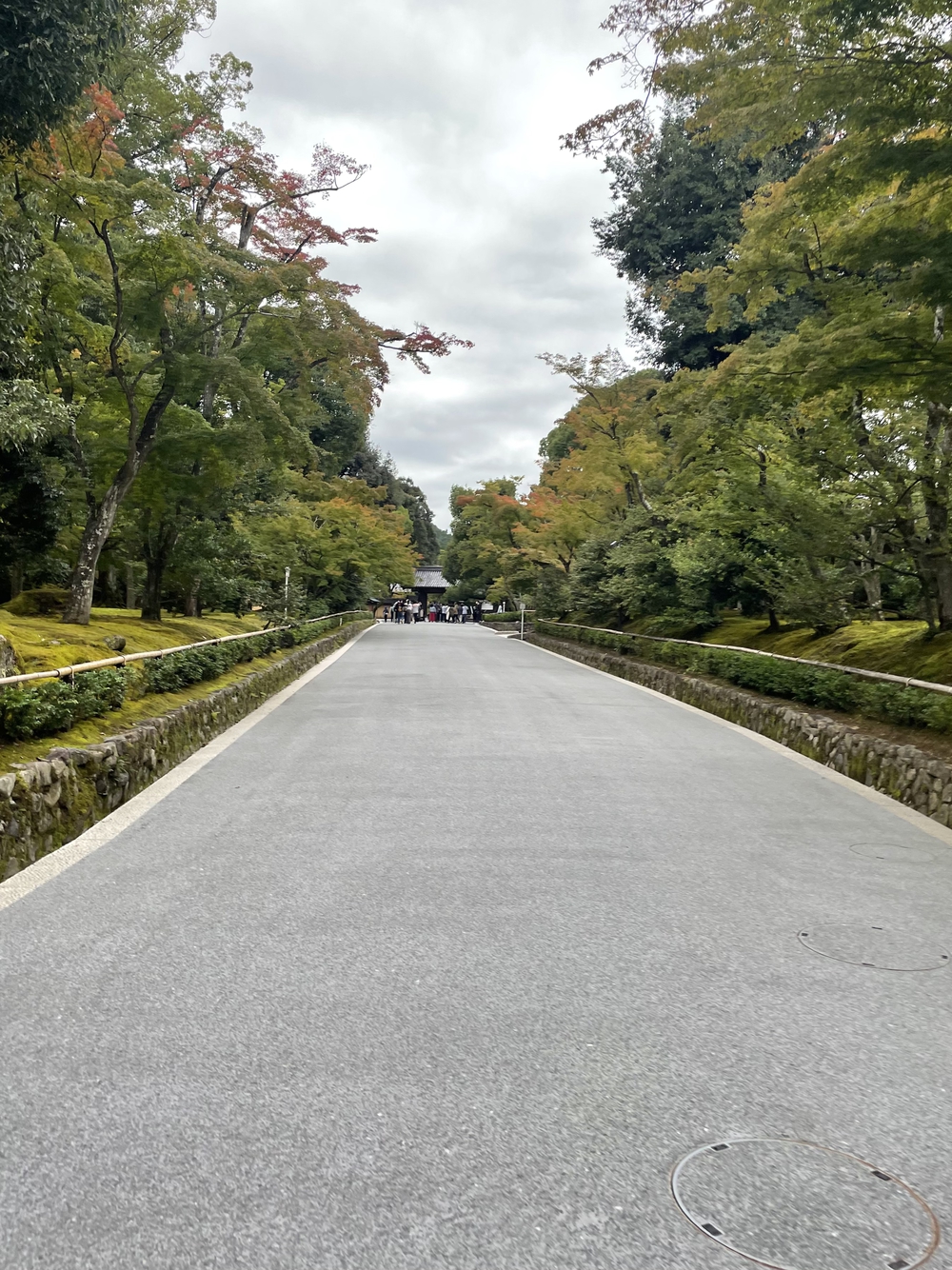 歌川広重と共にRUN 金閣寺の写真4