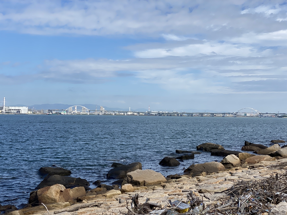 舞洲から北港を経て淀川堤防を走るコースの写真3