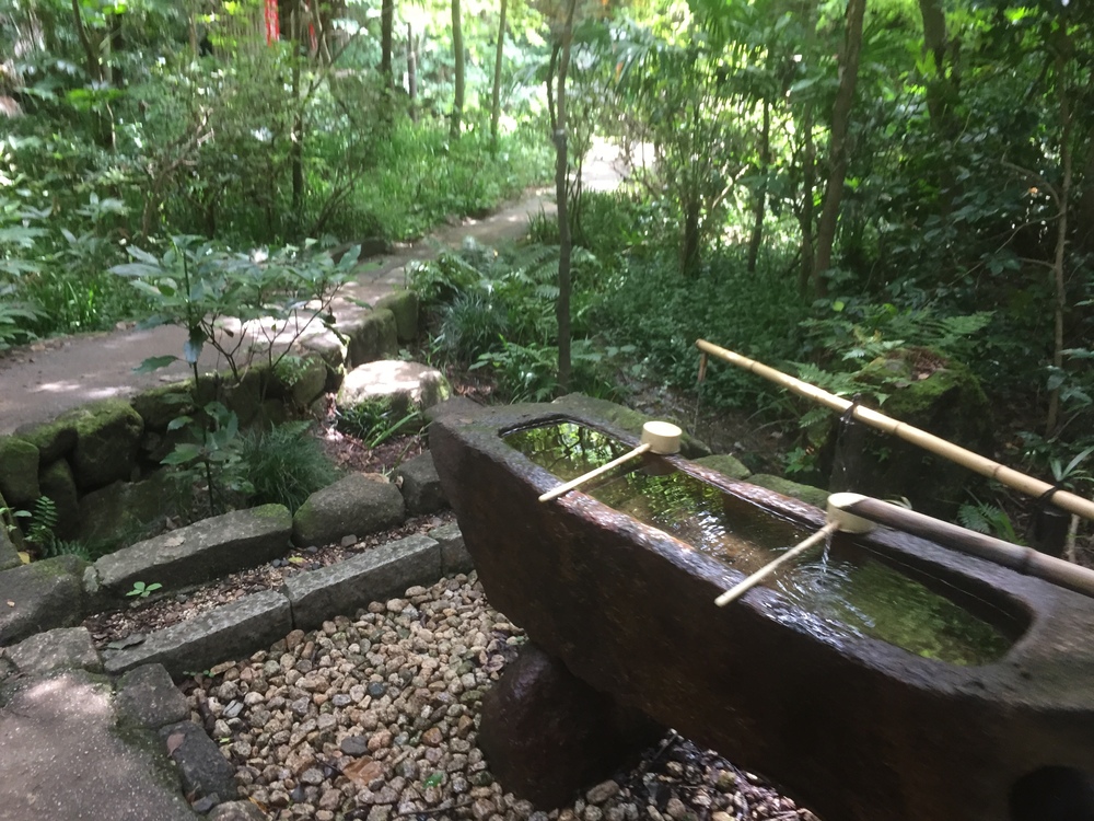 【東京・世田谷】都内唯一の等々力渓谷と多摩川沿いNORTH FACE CAFEを巡るRuntrip！の写真5