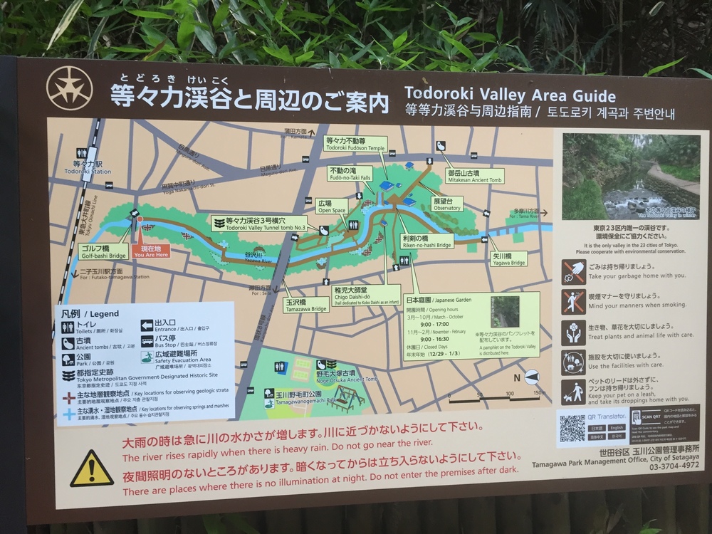 【東京・世田谷】都内唯一の等々力渓谷と多摩川沿いNORTH FACE CAFEを巡るRuntrip！の写真7