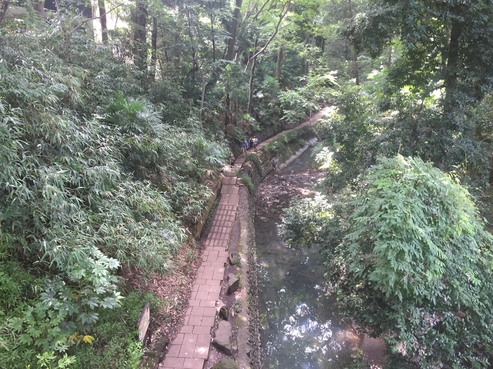 【東京・世田谷】都内唯一の等々力渓谷と多摩川沿いNORTH FACE CAFEを巡るRuntrip！の写真8