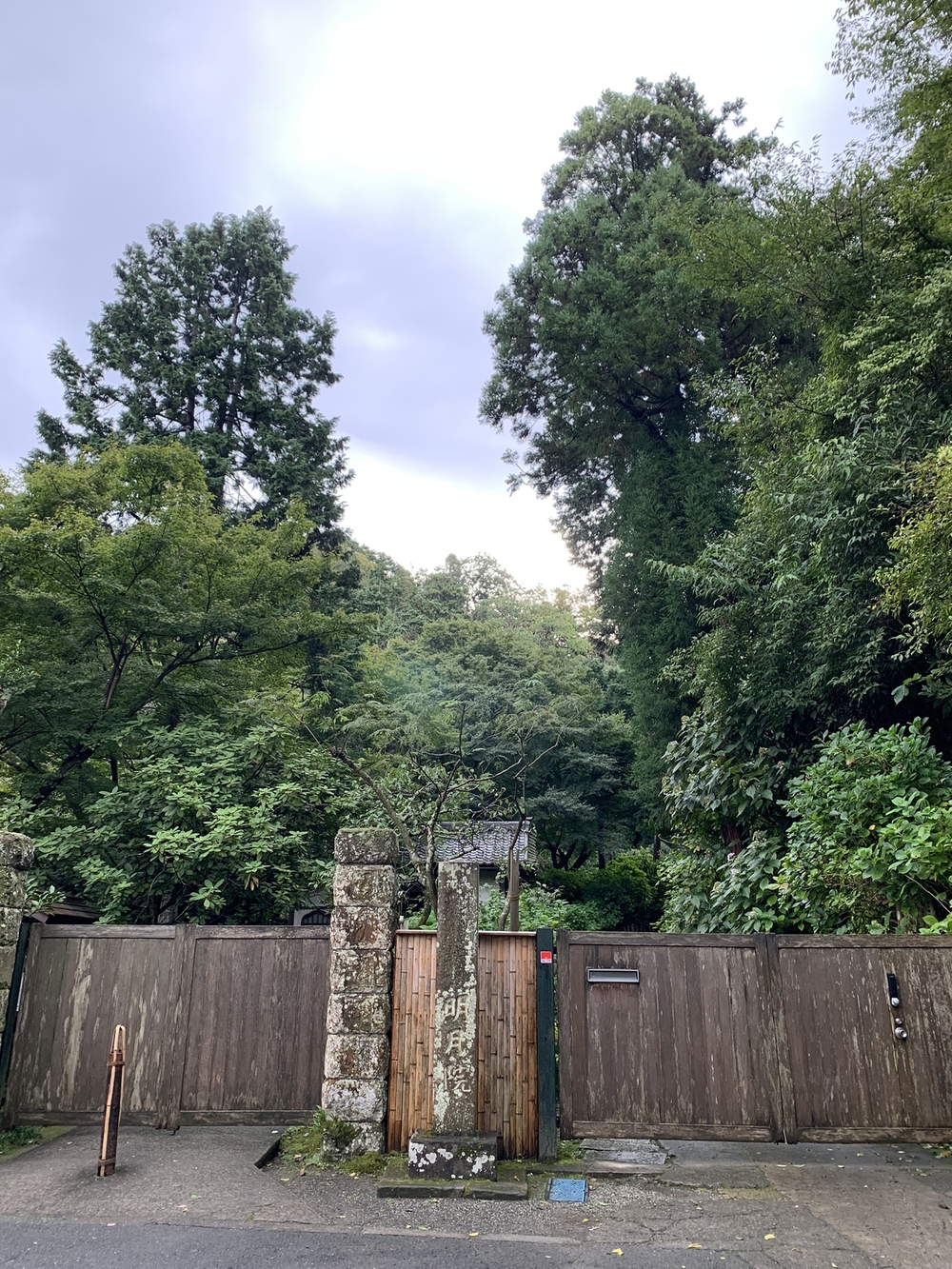 【トレイル】鎌倉トレイルマップ周回の写真3