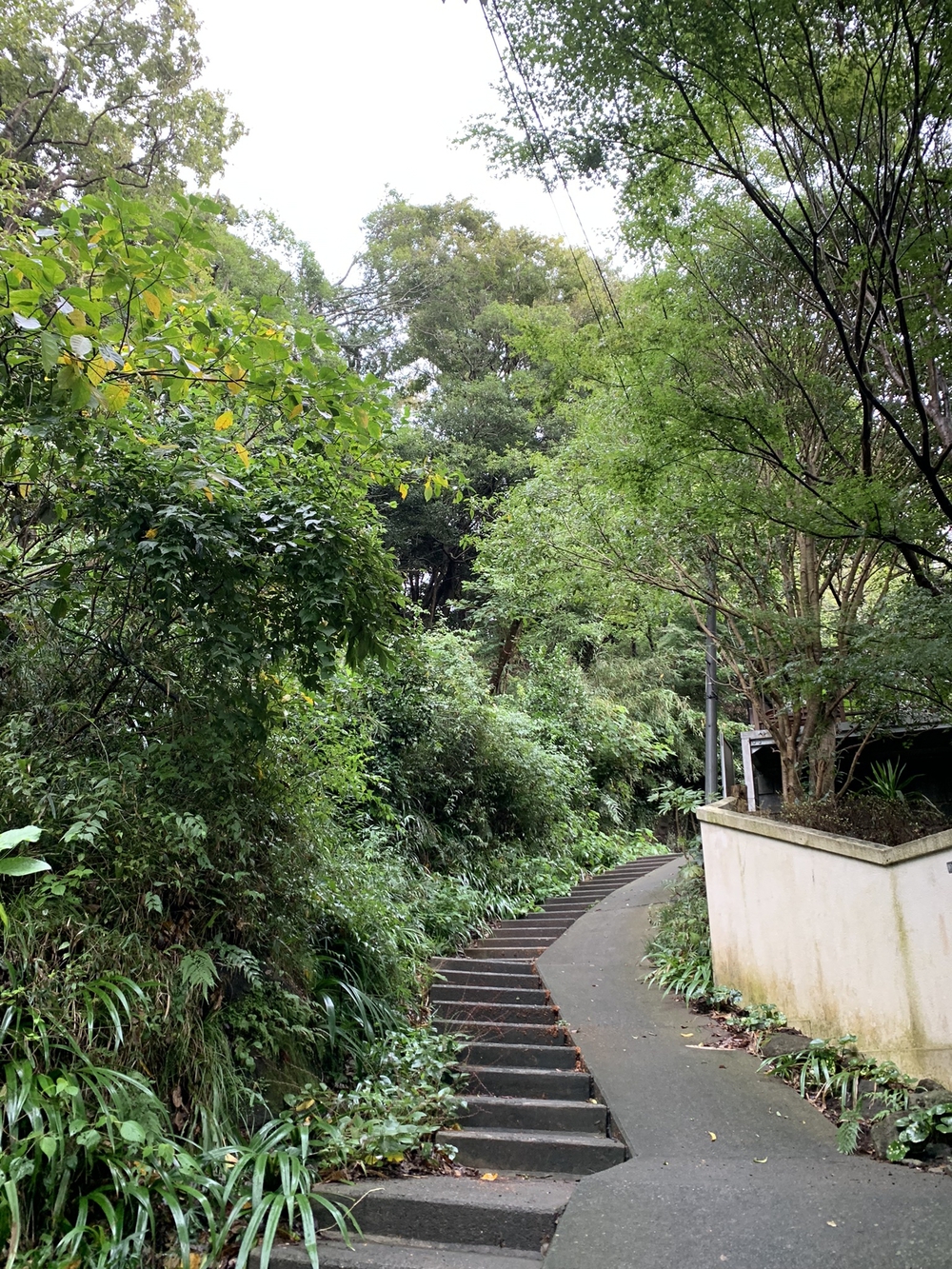 【トレイル】鎌倉トレイルマップ周回の写真4