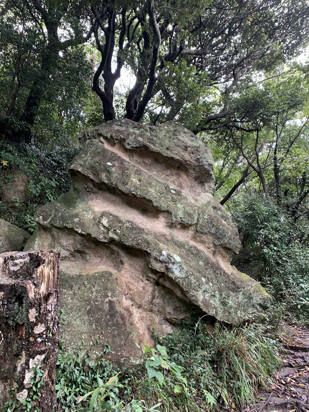 【トレイル】鎌倉トレイルマップ周回の写真8