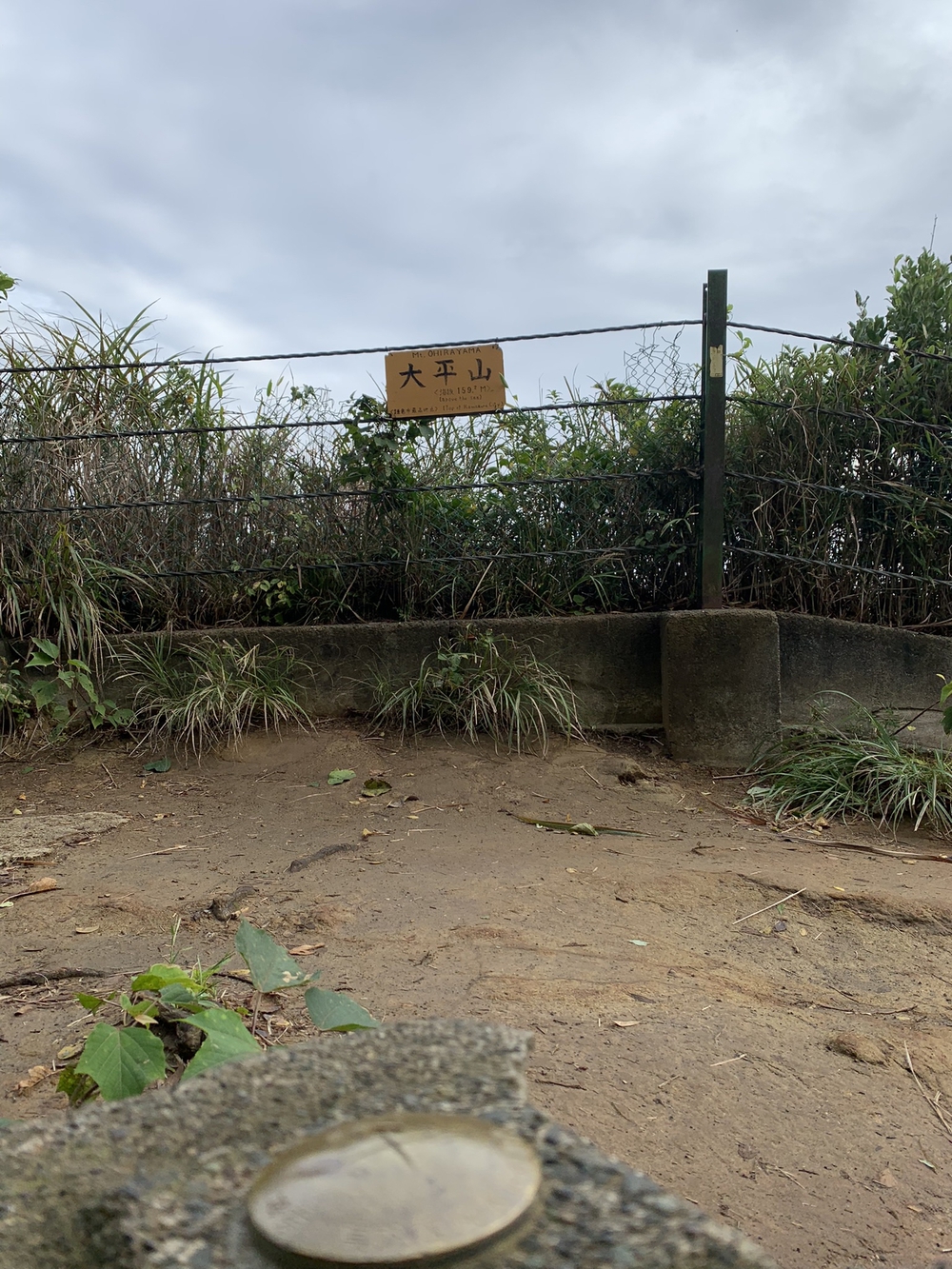 【トレイル】鎌倉トレイルマップ周回の写真9