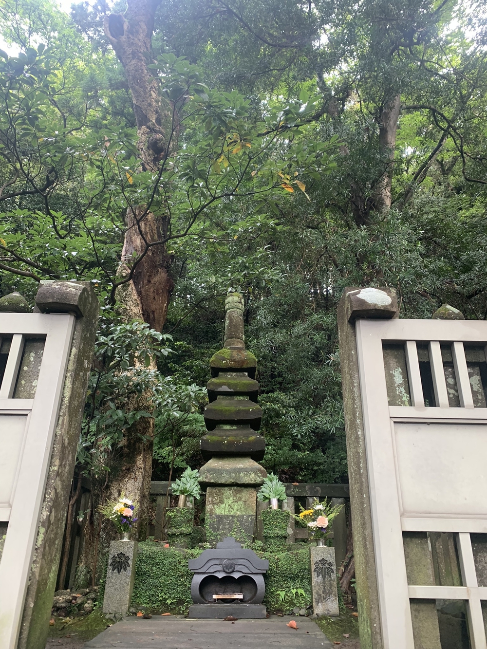 【トレイル】鎌倉トレイルマップ周回の写真12