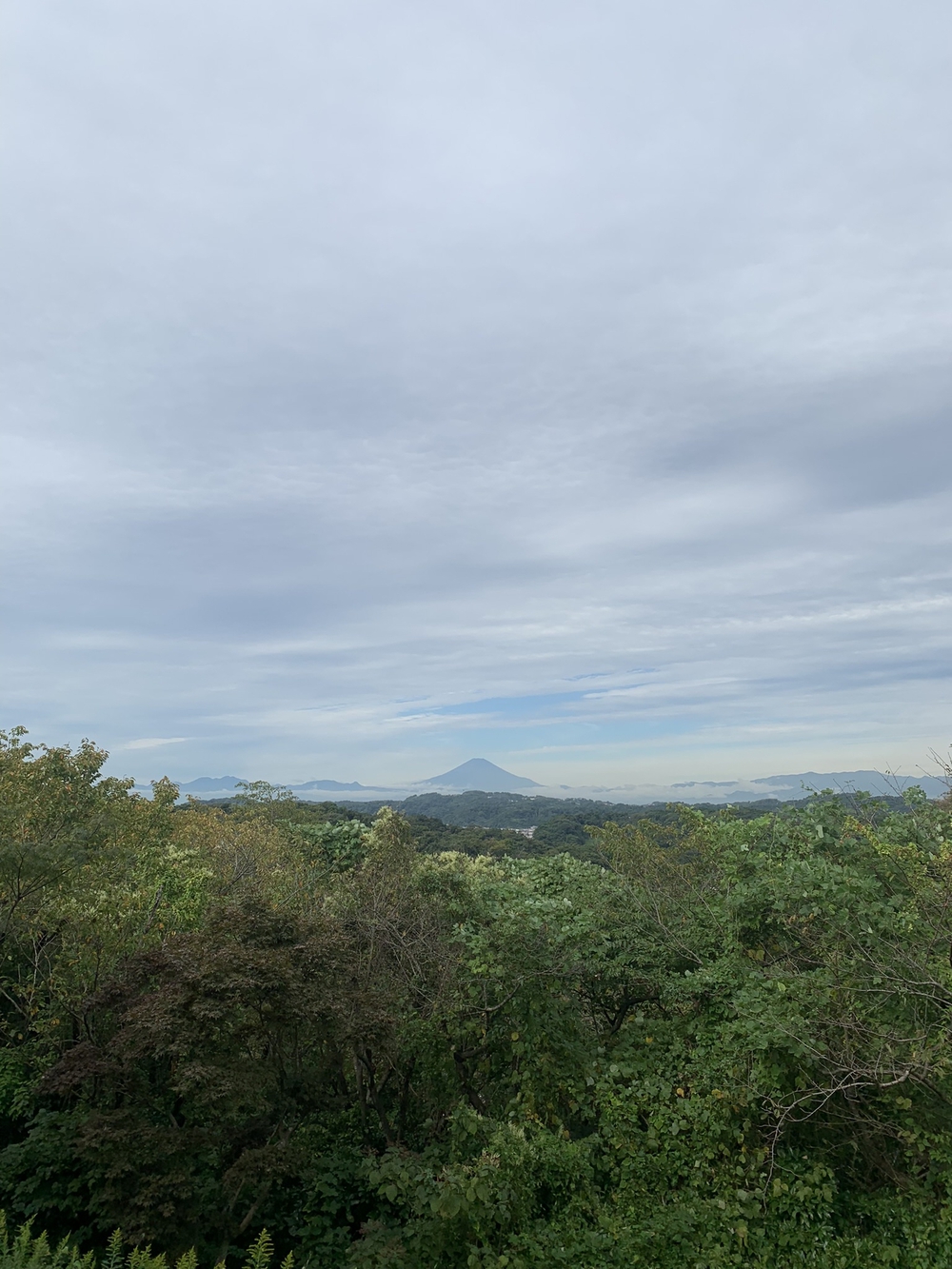 【トレイル】鎌倉トレイルマップ周回の写真16