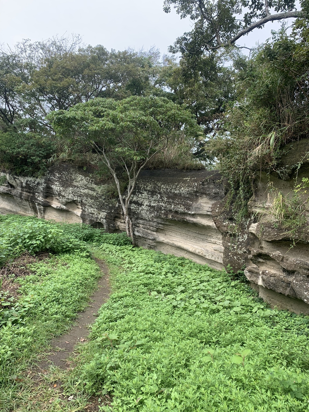 【トレイル】鎌倉トレイルマップ周回の写真17