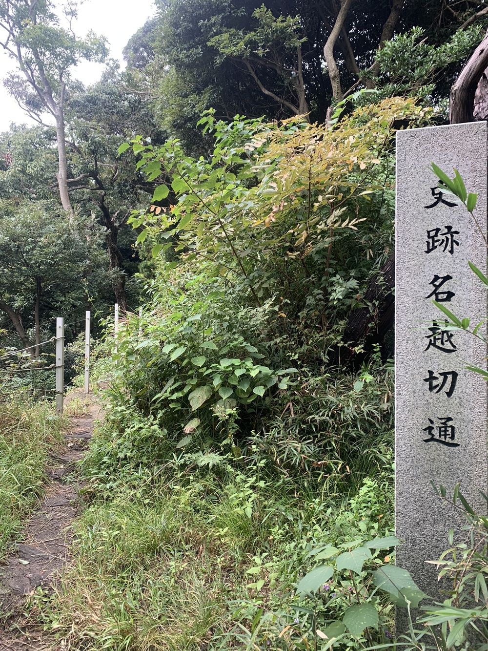 【トレイル】鎌倉トレイルマップ周回の写真18