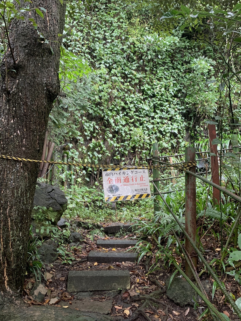 【トレイル】鎌倉トレイルマップ周回の写真22