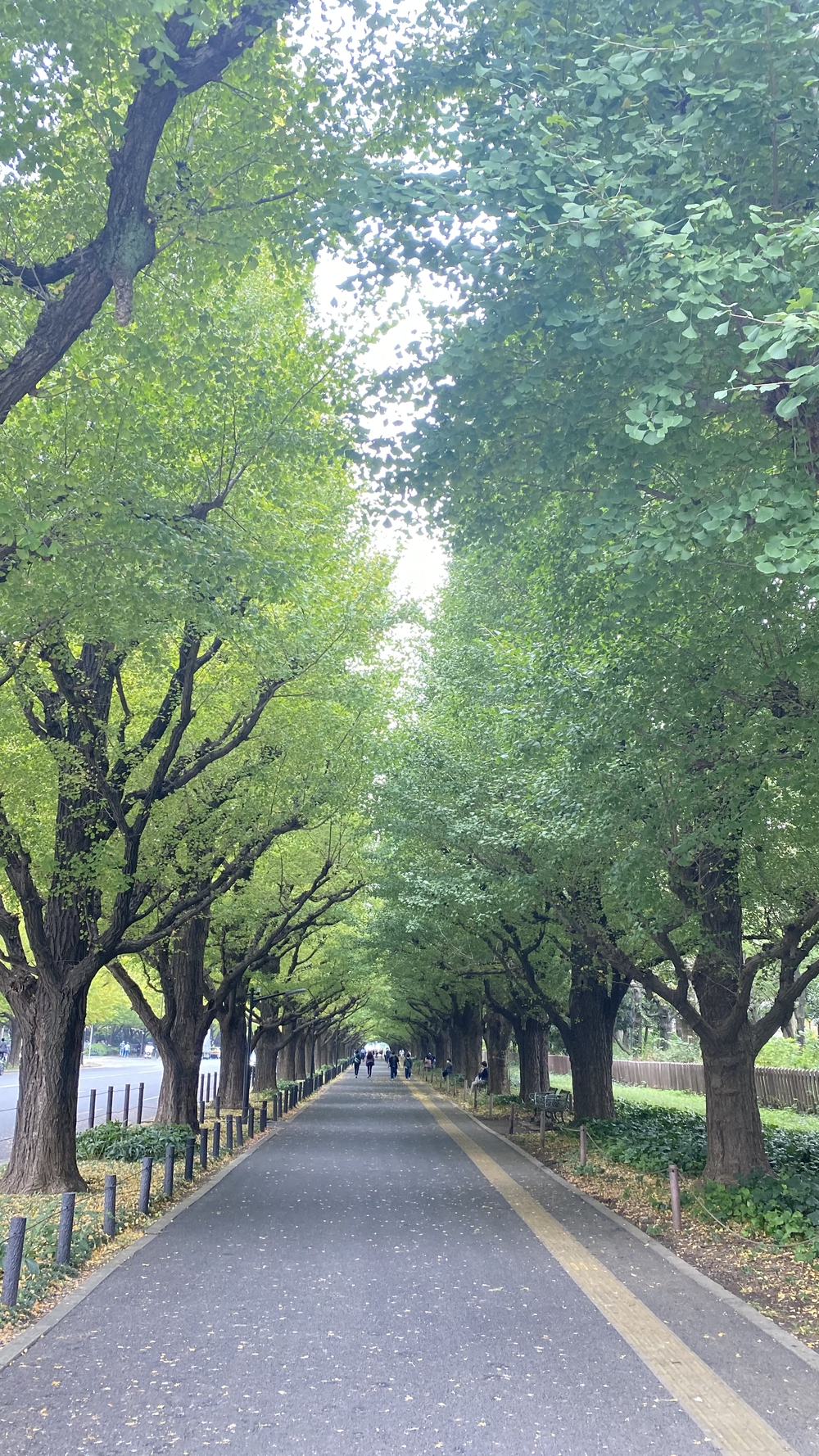 新宿三丁目〜上野、都心の緑をつないで17キロの写真4