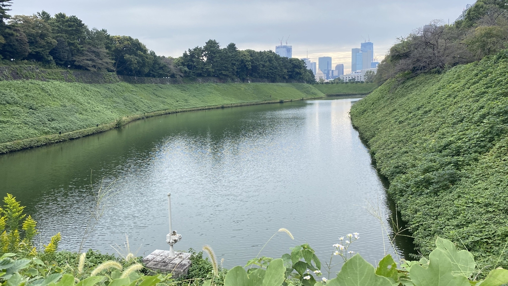 新宿三丁目〜上野、都心の緑をつないで17キロの写真10