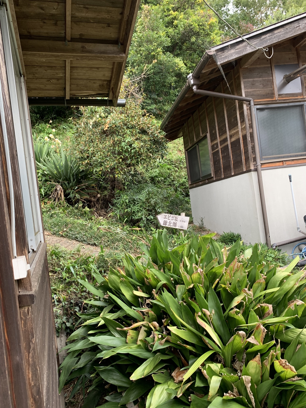 【トレイル】奥武蔵 顔振関八州不動三滝1wayの写真8