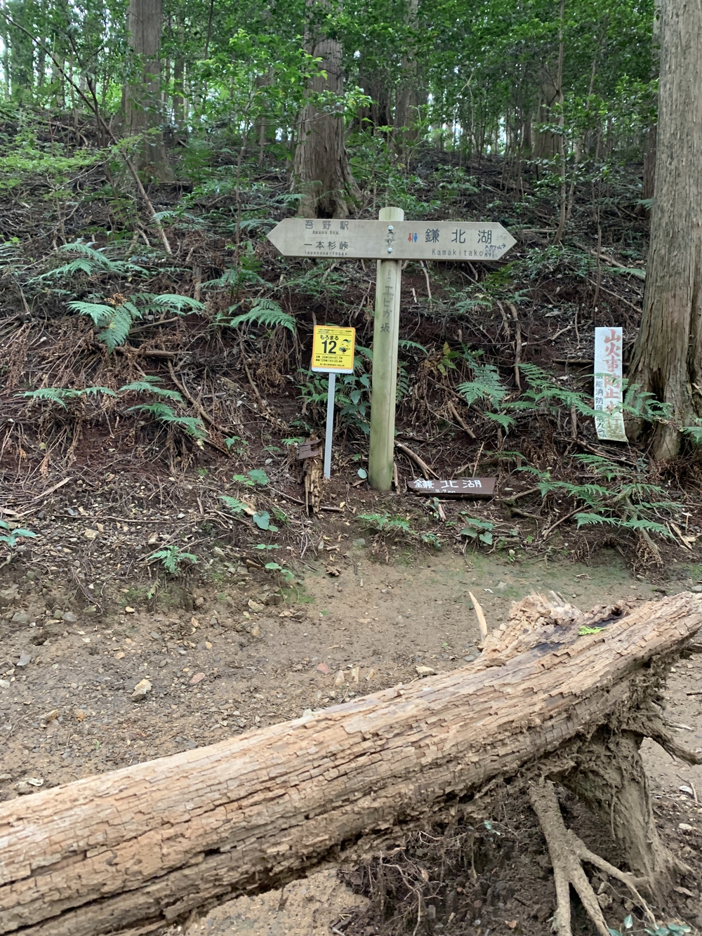 【トレイル】奥武蔵 顔振関八州不動三滝1wayの写真10