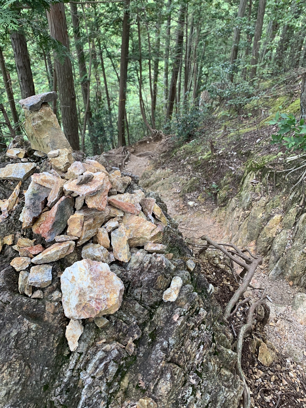 【トレイル】奥武蔵 顔振関八州不動三滝1wayの写真11