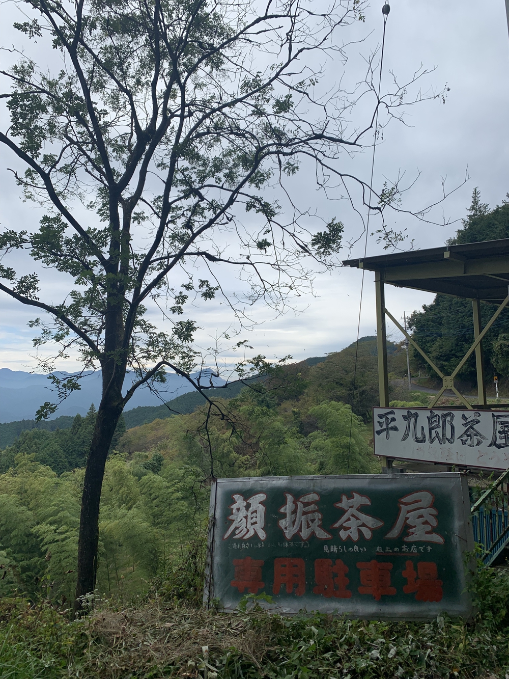 【トレイル】奥武蔵 顔振関八州不動三滝1wayの写真15