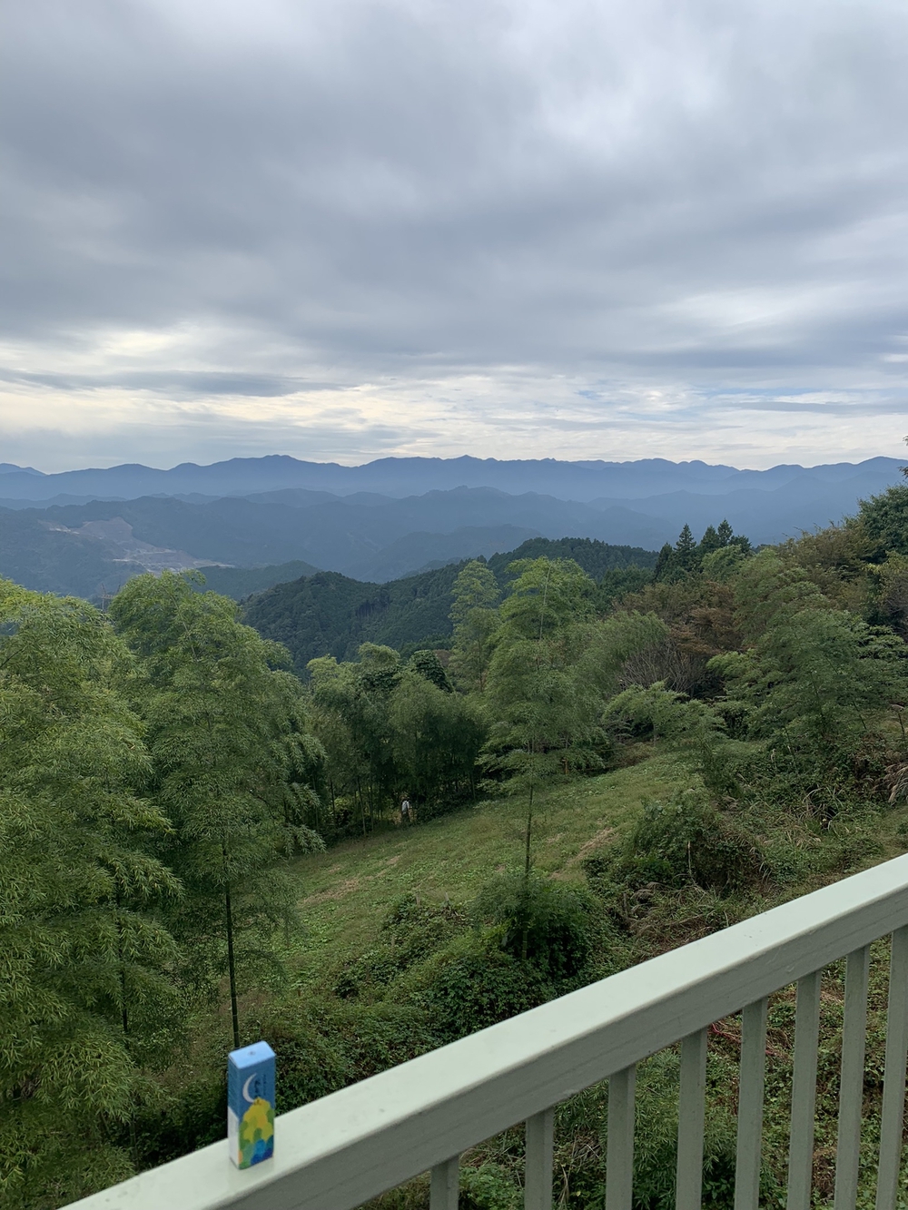 【トレイル】奥武蔵 顔振関八州不動三滝1wayの写真17