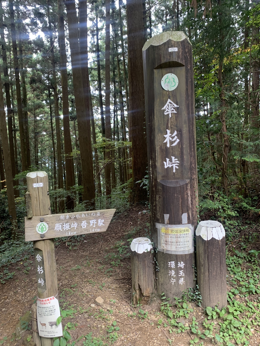 【トレイル】奥武蔵 顔振関八州不動三滝1wayの写真19