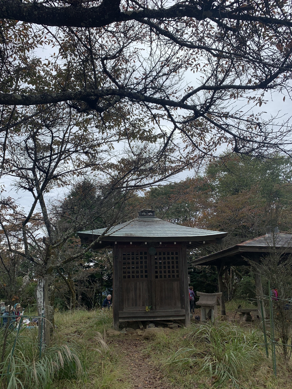 【トレイル】奥武蔵 顔振関八州不動三滝1wayの写真20