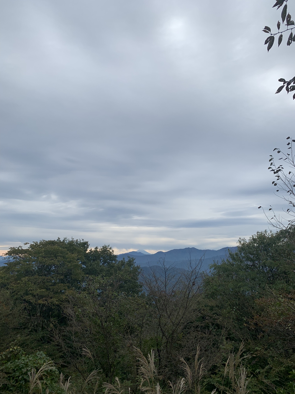 【トレイル】奥武蔵 顔振関八州不動三滝1wayの写真21