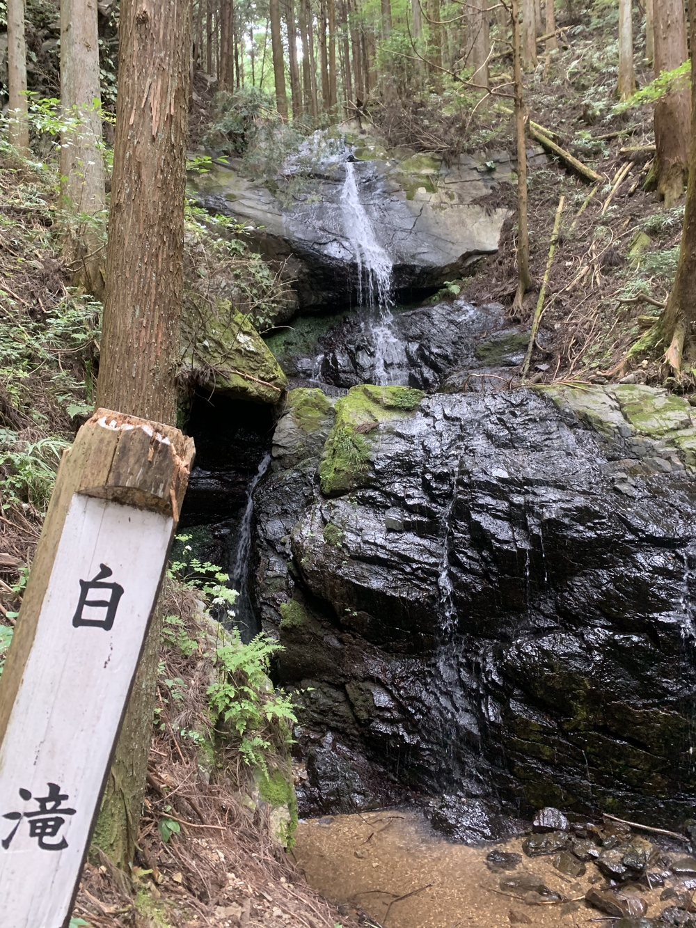 【トレイル】奥武蔵 顔振関八州不動三滝1wayの写真24