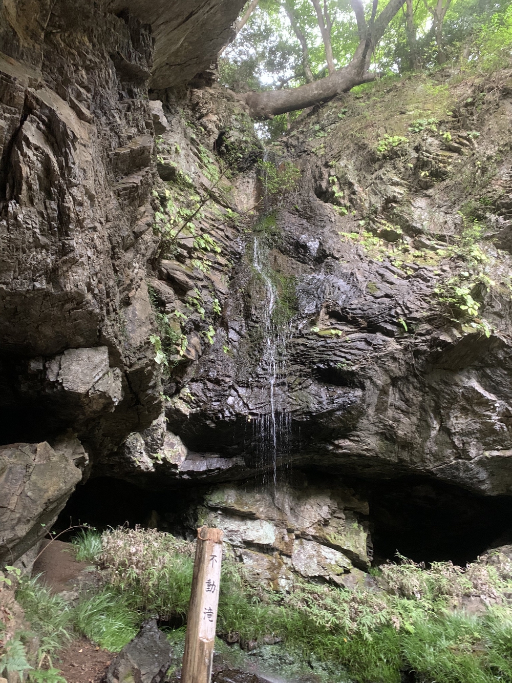 【トレイル】奥武蔵 顔振関八州不動三滝1wayの写真25