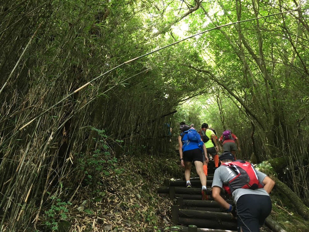 ヤギがお出迎え！！箱根外輪山コース（箱根町港～乙女峠～仙石原）の写真3