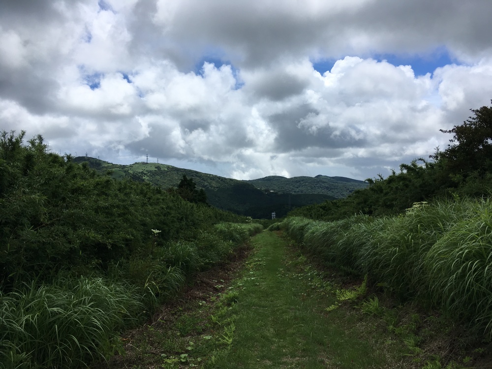 ヤギがお出迎え！！箱根外輪山コース（箱根町港～乙女峠～仙石原）の写真4