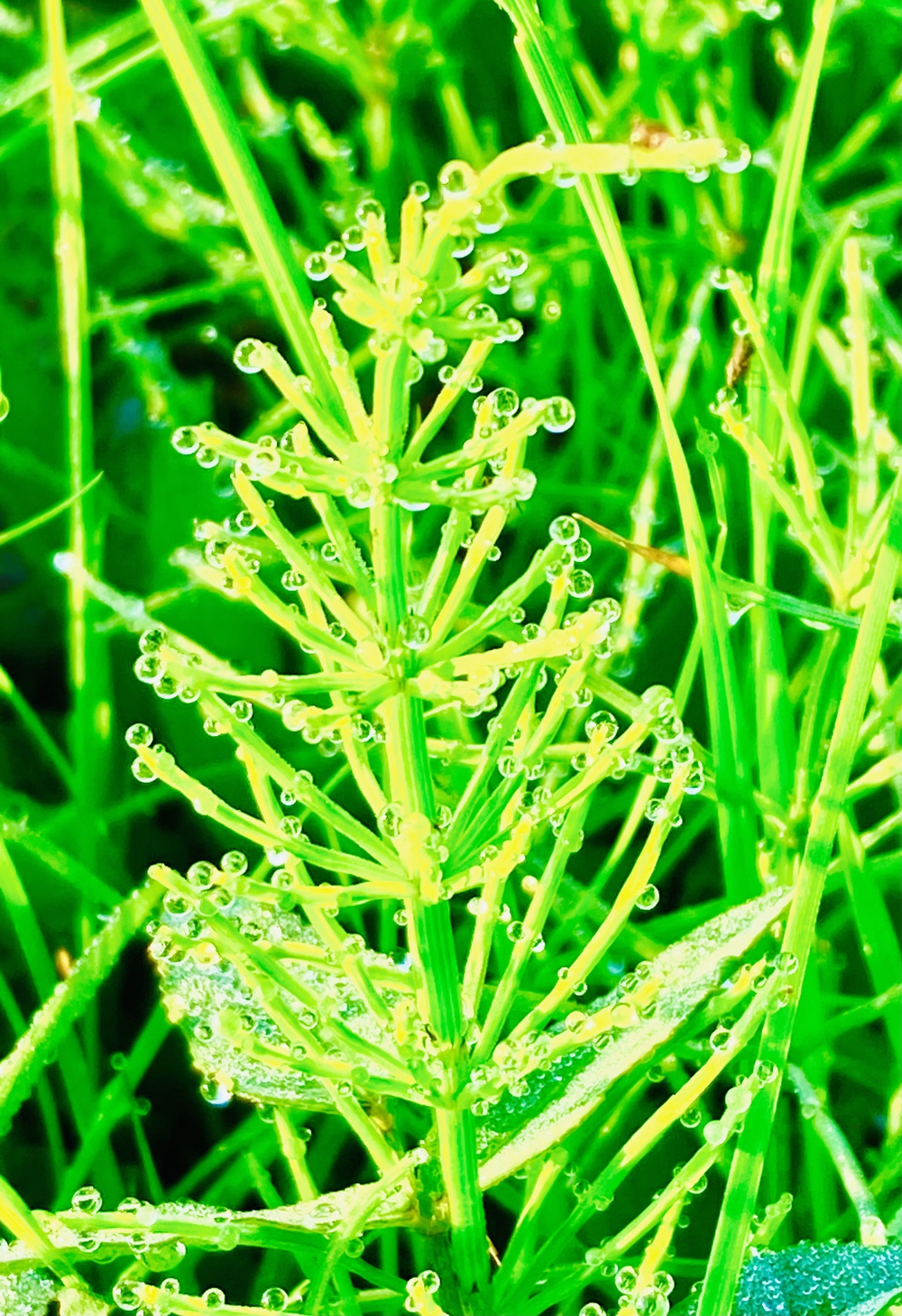 彩湖〜幸魂大橋の写真3