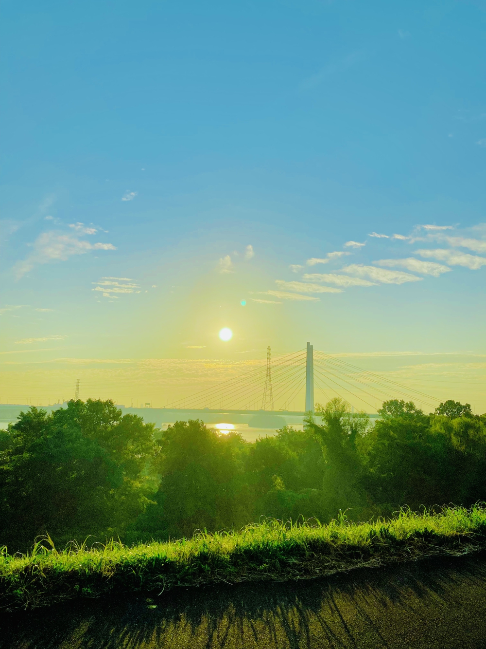彩湖〜幸魂大橋の写真7