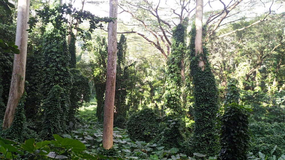 ジュラシックワールドの世界観の写真3