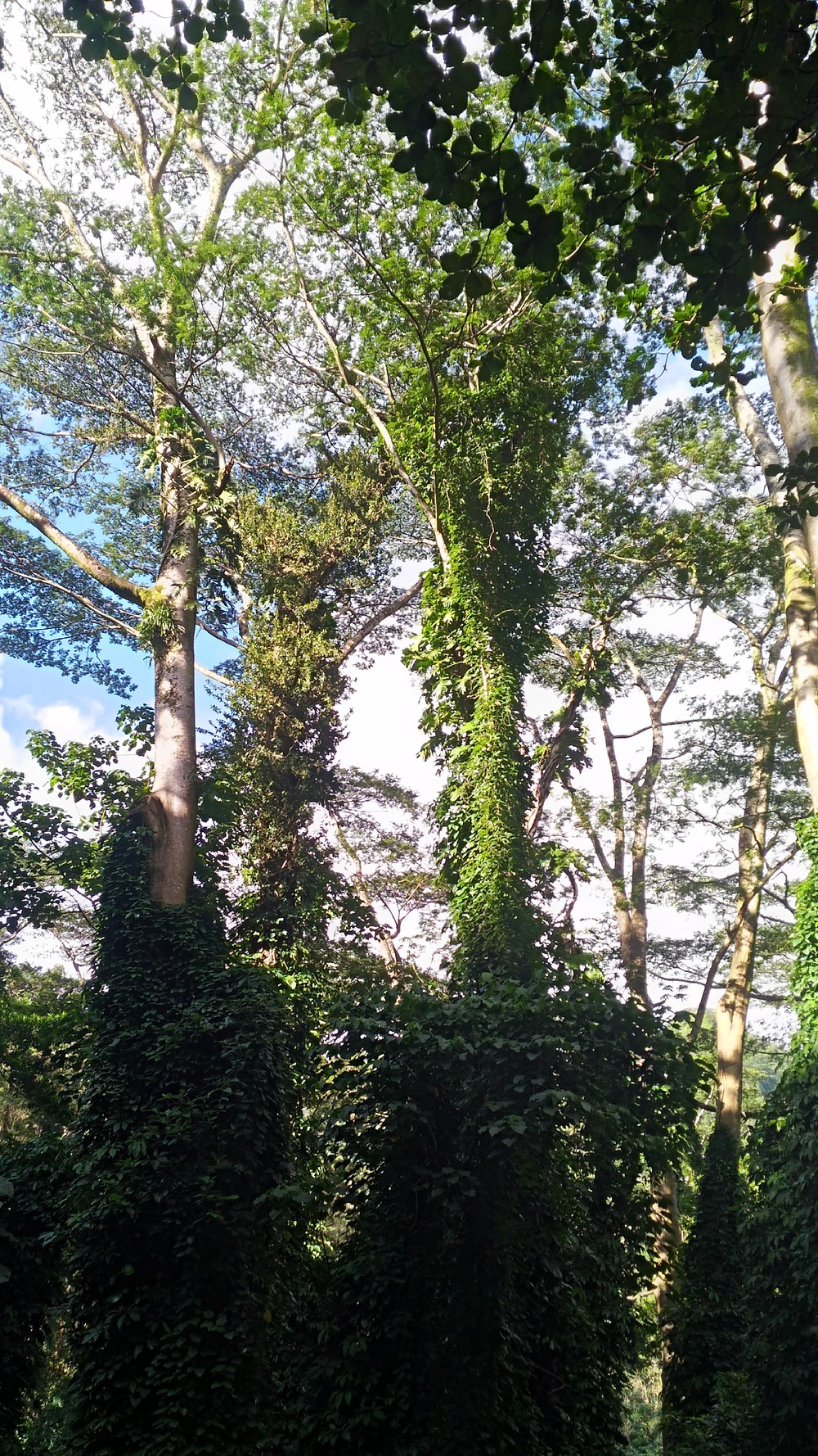 ジュラシックワールドの世界観の写真4