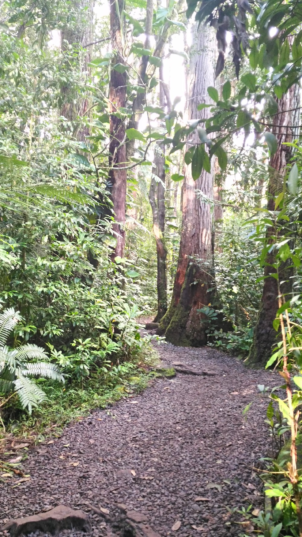 ジュラシックワールドの世界観の写真5