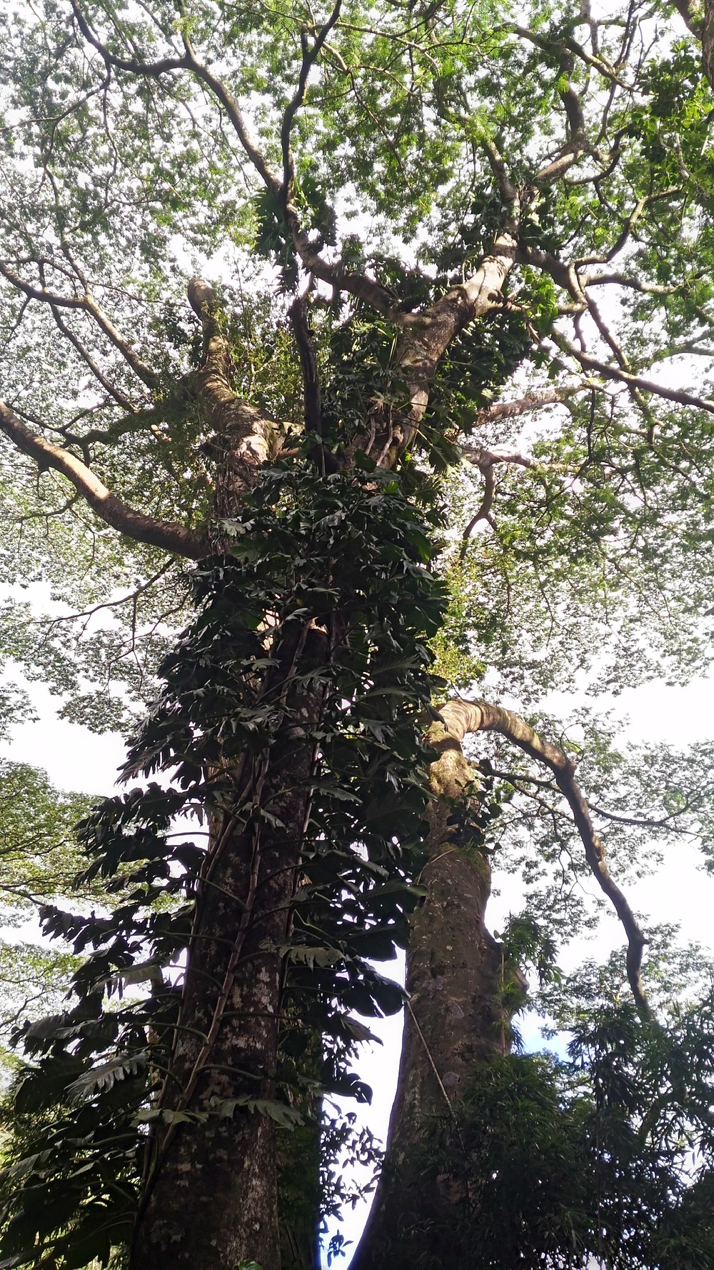 ジュラシックワールドの世界観の写真6