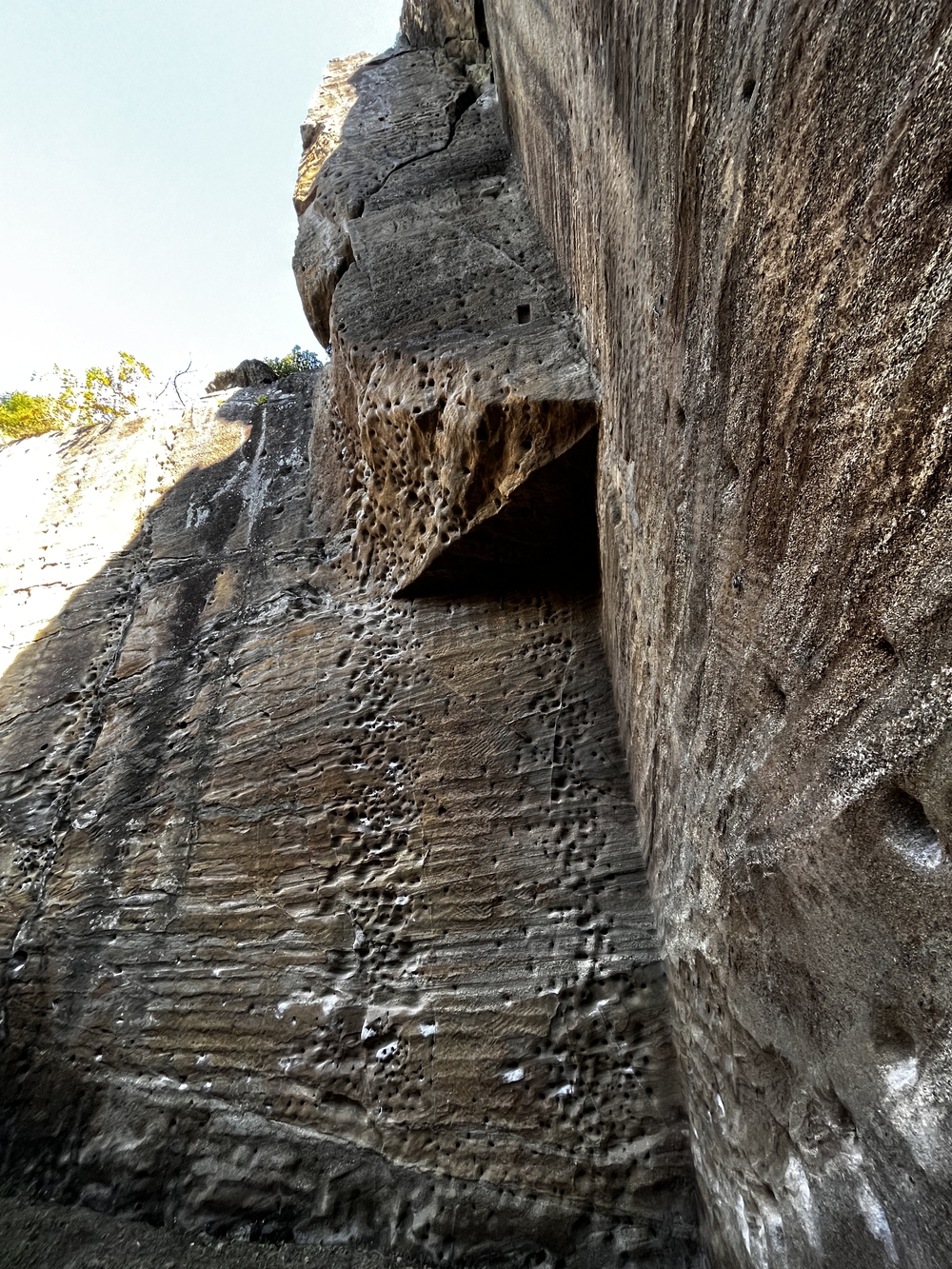 鎌倉殿も通ったであろう朝比奈切り通しと鷹取山の磨崖仏を巡るトレラン⛰の写真3