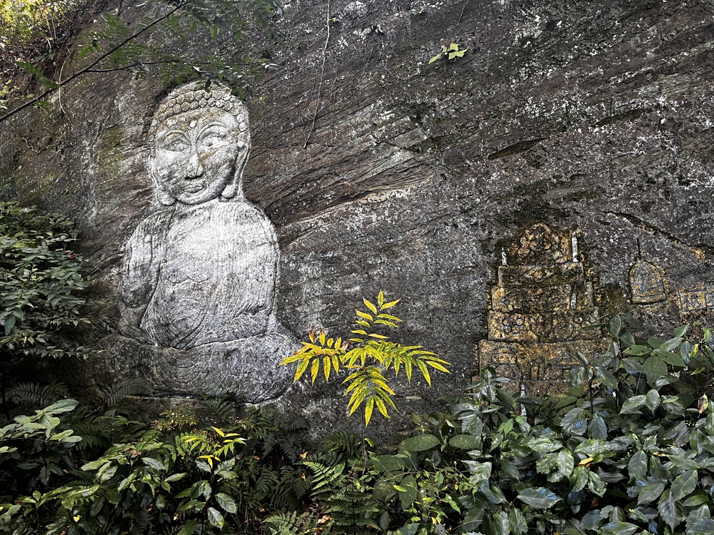 鎌倉殿も通ったであろう朝比奈切り通しと鷹取山の磨崖仏を巡るトレラン⛰の写真5