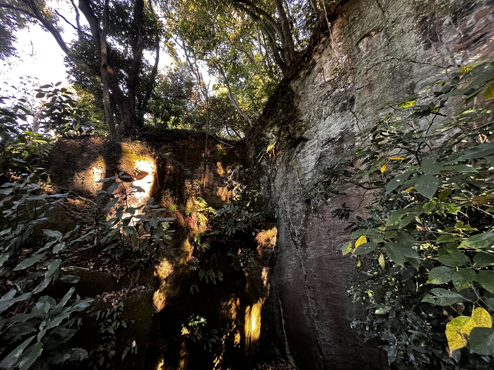 鎌倉殿も通ったであろう朝比奈切り通しと鷹取山の磨崖仏を巡るトレラン⛰の写真6
