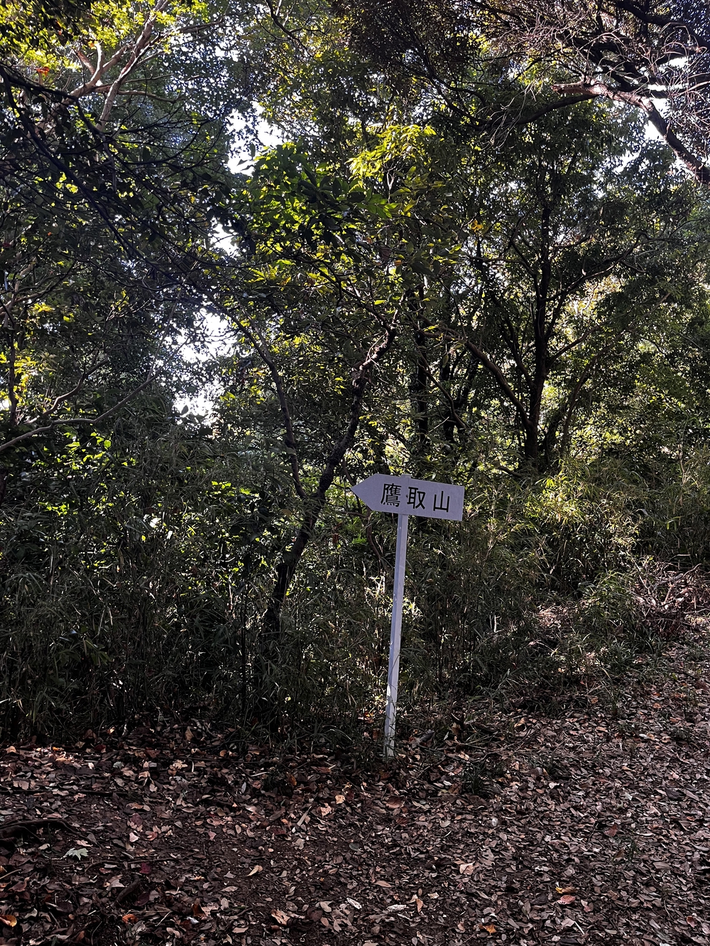 鎌倉殿も通ったであろう朝比奈切り通しと鷹取山の磨崖仏を巡るトレラン⛰の写真10