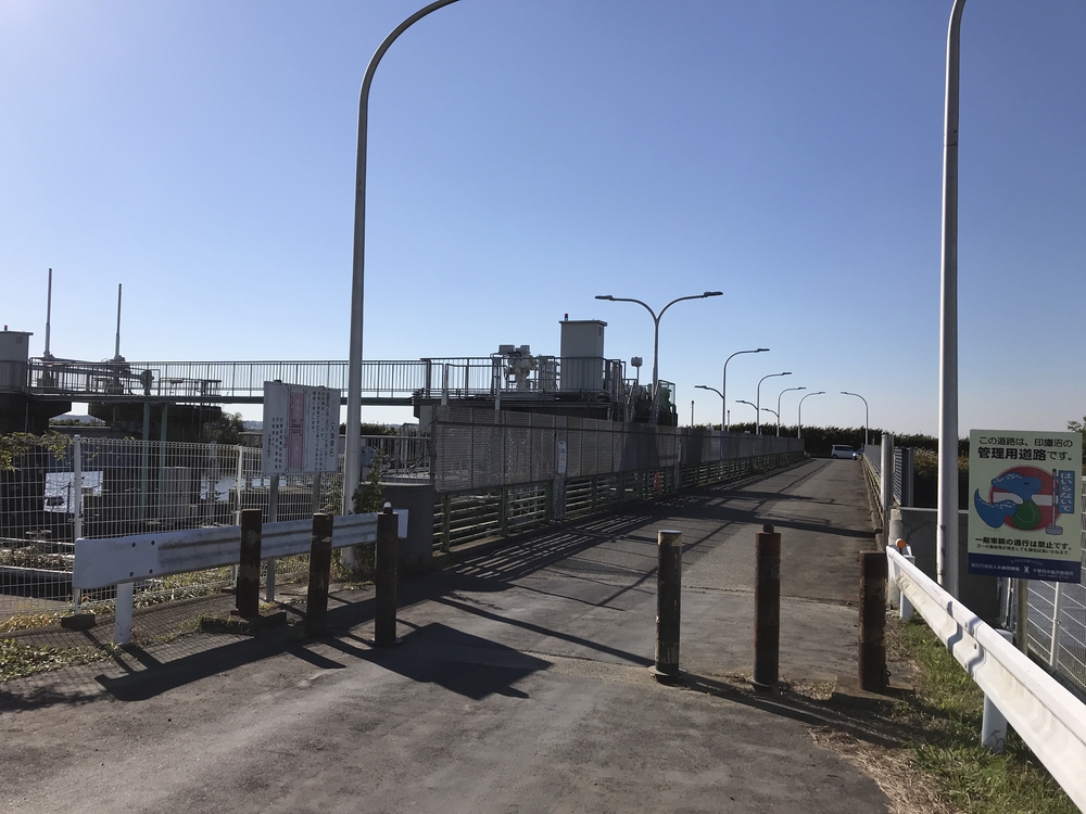 印旛沼サイクリングロード安食〜佐倉の写真3