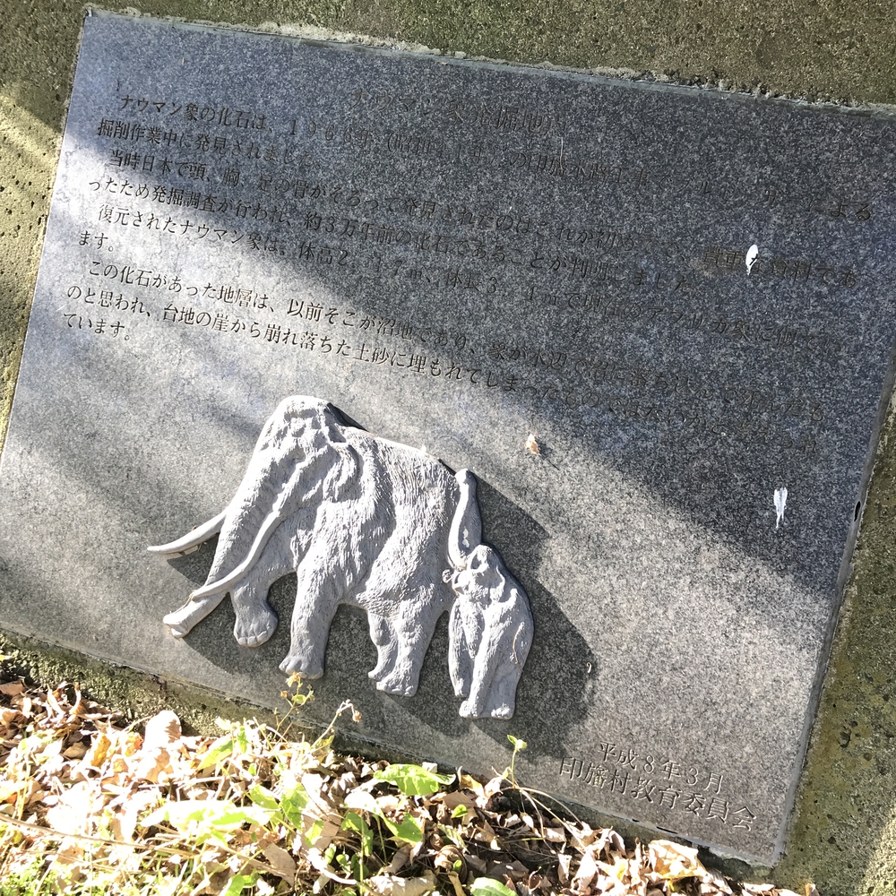 印旛沼サイクリングロード安食〜佐倉の写真7