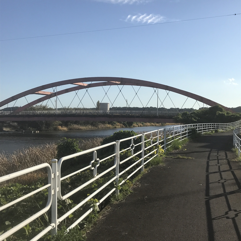 印旛沼サイクリングロード安食〜佐倉の写真8