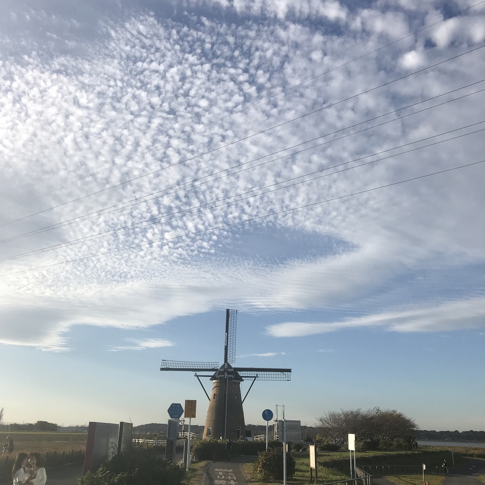 印旛沼サイクリングロード安食〜佐倉の写真11